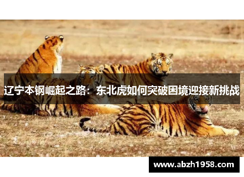 辽宁本钢崛起之路:东北虎如何突破困境迎接新挑战 辽宁本钢崛起之路:东北虎如何突破困境迎接新挑战